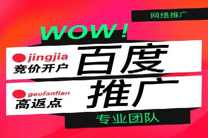 信息流广告推广经典案例分享